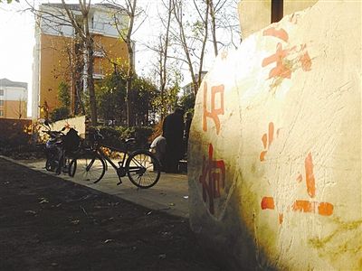 昨日，“上海奇石盆景博物館”原址上，已矗立起小區(qū)樓盤(pán)，而刻著博物館名的巨石，廢棄在一旁。本版圖片/新京報(bào)記者 張永生 攝