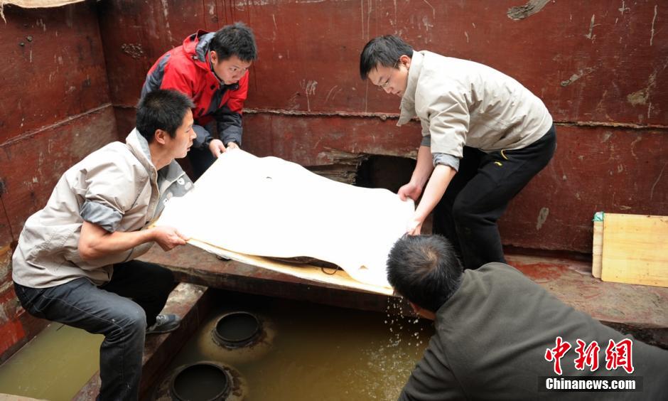 圖為考古現(xiàn)場工作人員小心翼翼將文物取出。