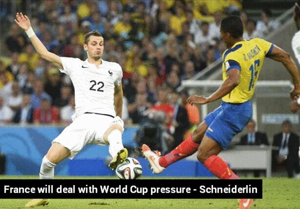 施內(nèi)德林:法國會直面壓力