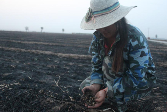 村民們眼巴巴看著豐收的小麥“葬身”火海，心疼不已。
