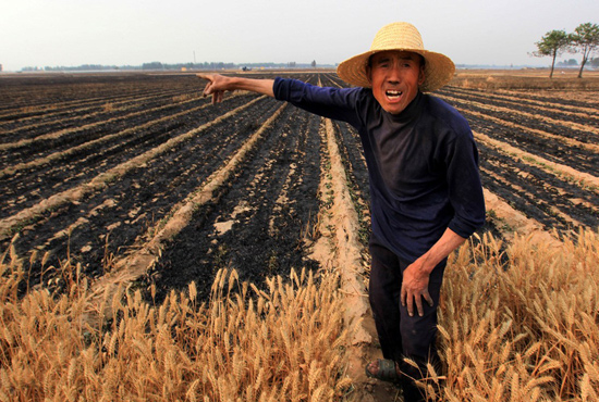 河南省滑縣、內(nèi)黃縣麥田著火，麥壟套種的花生、玉米苗也被烤焦，群眾損失慘重