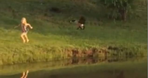 圖二：小女孩遭鵝襲擊向父親求救，但他不但沒(méi)有伸出援手，反而狂笑不止。