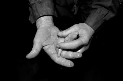 圖為科考人員發(fā)現(xiàn)的洞穴動物（3月2日攝）。