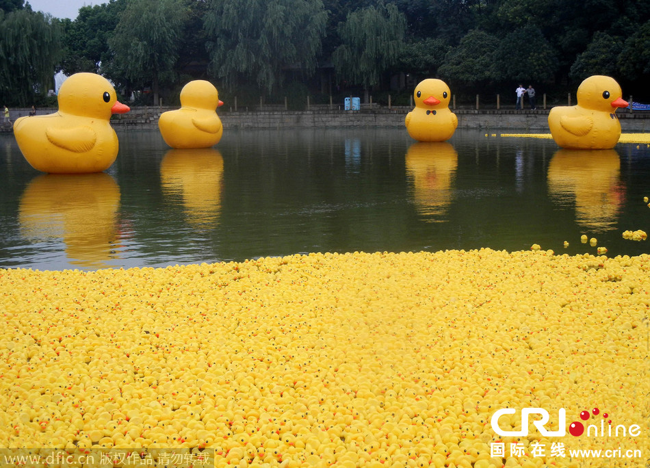 大黃鴨攜3萬只“鴨寶寶”集體亮相蘇州 大黃鴨攜3萬只“鴨寶寶”集體亮相蘇州