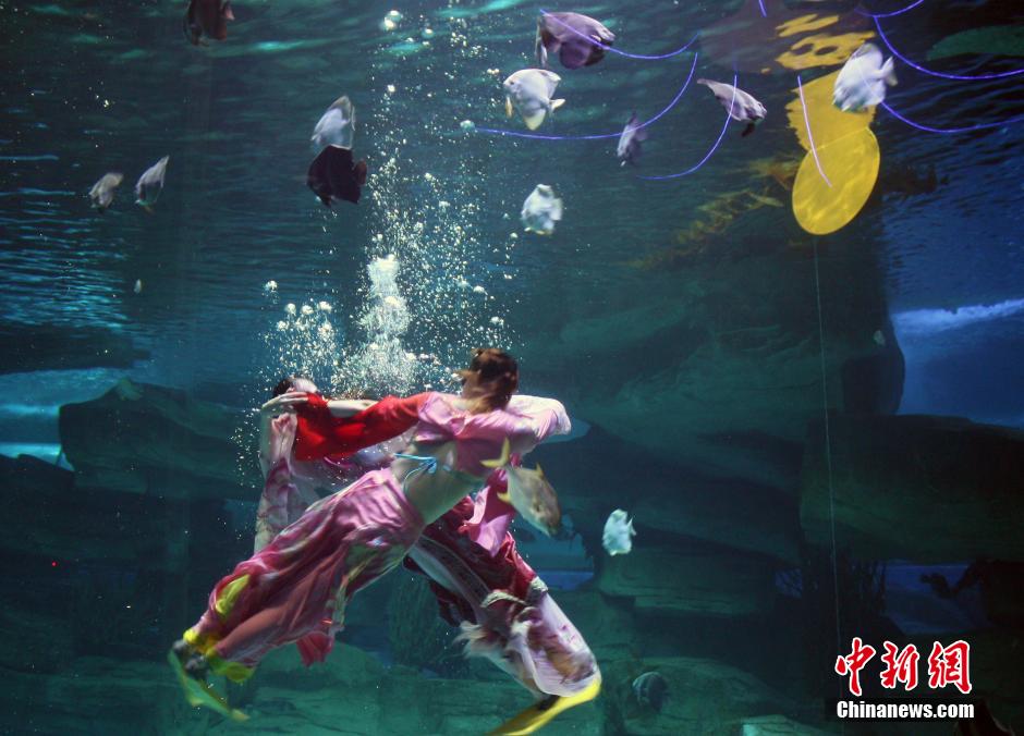 9月7日，在中秋節(jié)到來前一天，山東泉城海洋極地世界為游客帶來“嫦娥水中奔月”表演。