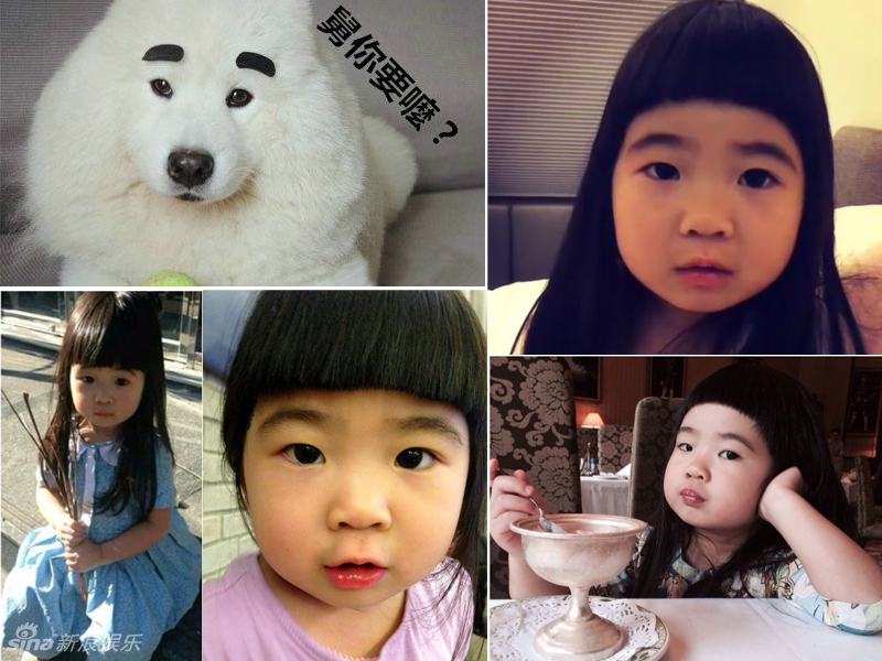 不小心就撞臉了！盤點動物界的明星相