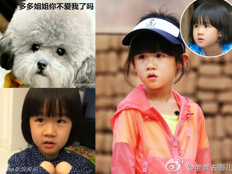 不小心就撞臉了！盤點動物界的明星相