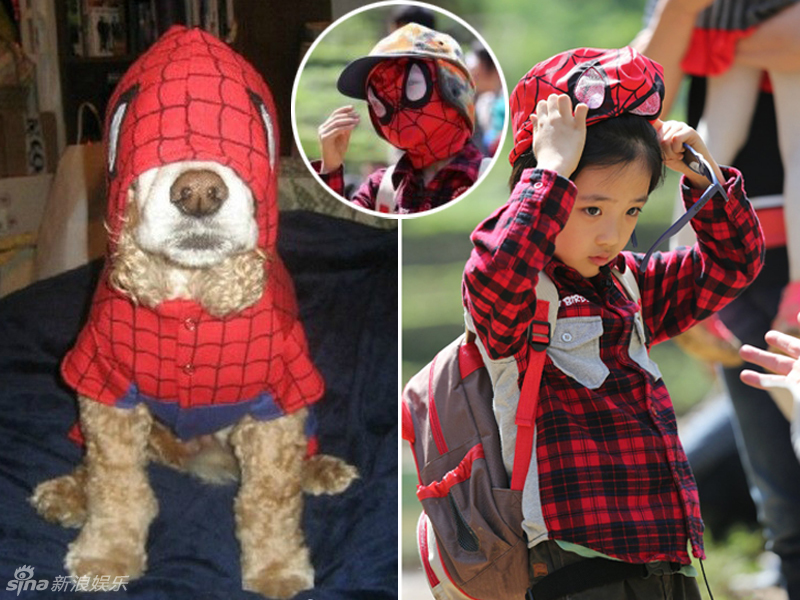 不小心就撞臉了！盤點動物界的明星相