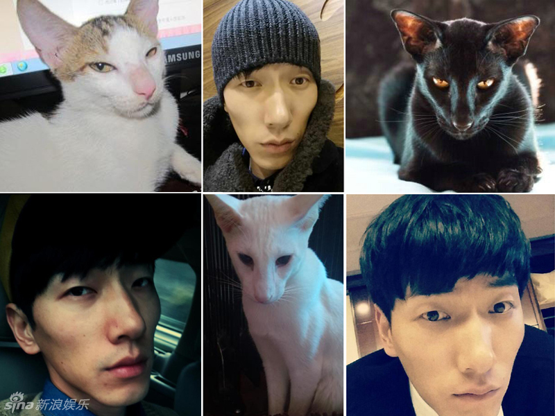 不小心就撞臉了！盤點動物界的明星相