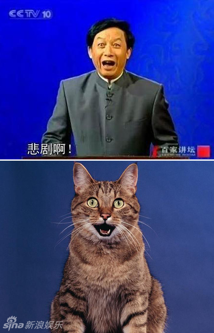 不小心就撞臉了！盤點動物界的明星相