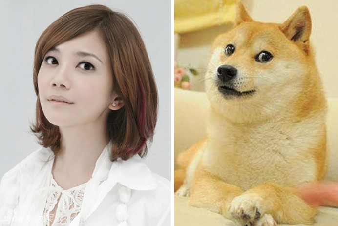 不小心就撞臉了！盤點動物界的明星相