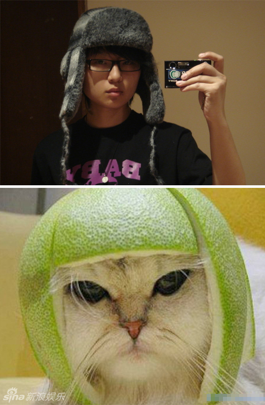 不小心就撞臉了！盤點動物界的明星相