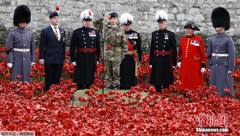 當地時間2014年11月10日，英國倫敦，倫敦塔周邊“種植”了888246朵陶瓷材質的罌粟花，以此紀