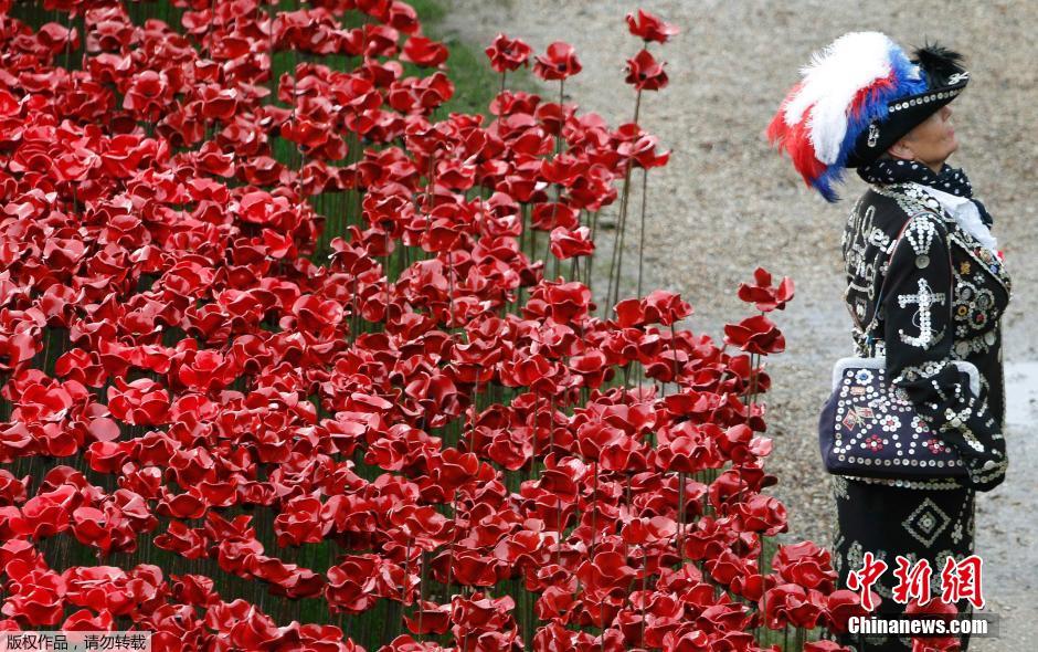 當地時間2014年11月10日，英國倫敦，倫敦塔周邊“種植”了888246朵陶瓷材質的罌粟花，以此紀