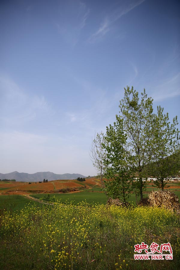庫區(qū)的藍(lán)天、白云、綠樹、黃花給人清新的享受