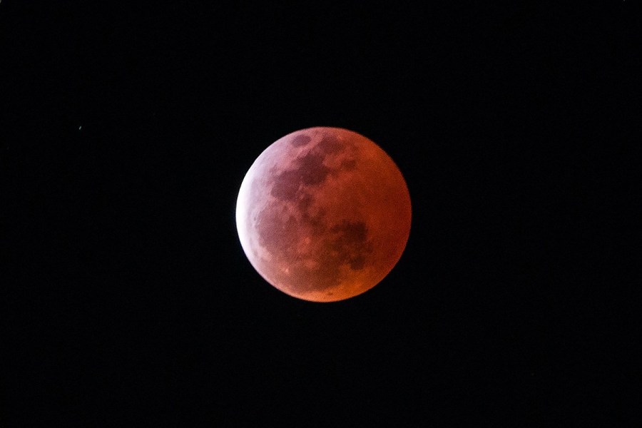 4月4日，福州上空出現(xiàn)紅月亮。楊婀娜/CFP