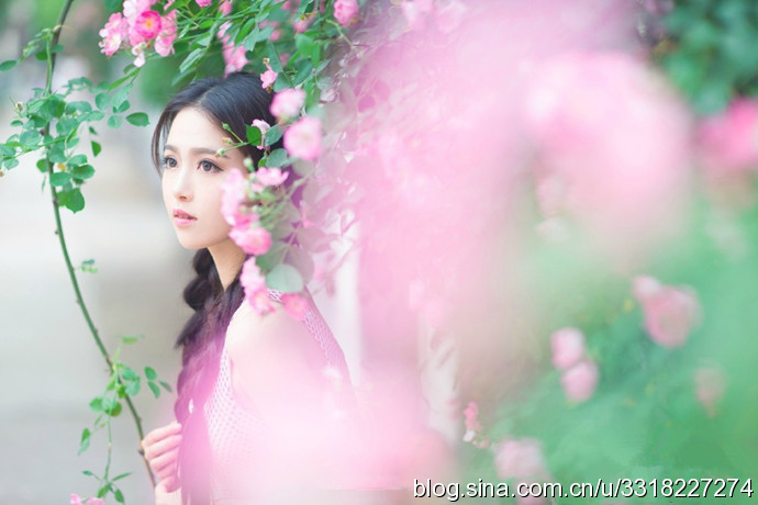 民航大學(xué)最美?；ㄋ秸掌毓? width=