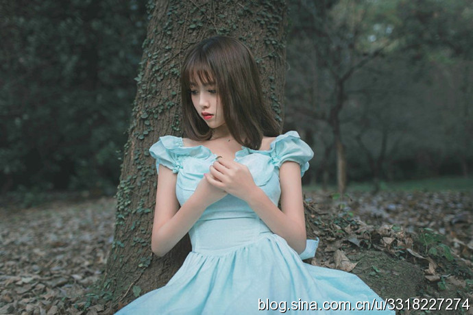 民航大學(xué)最美?；ㄋ秸掌毓? width=