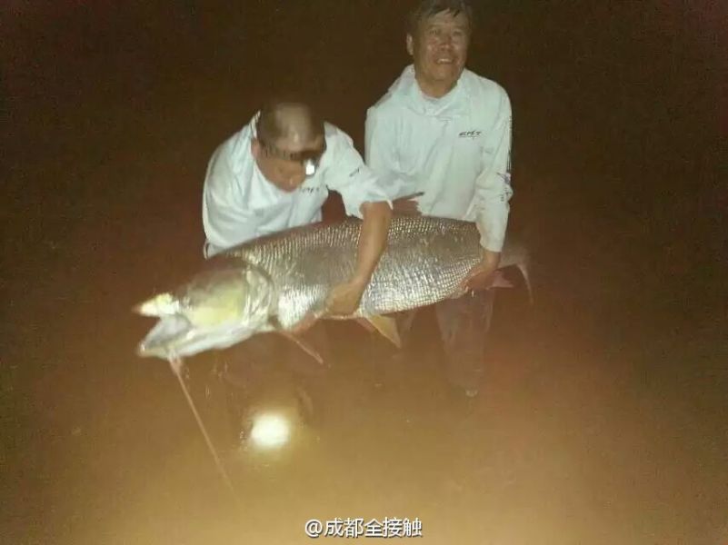 圖為大魚需要兩個人抱起。
