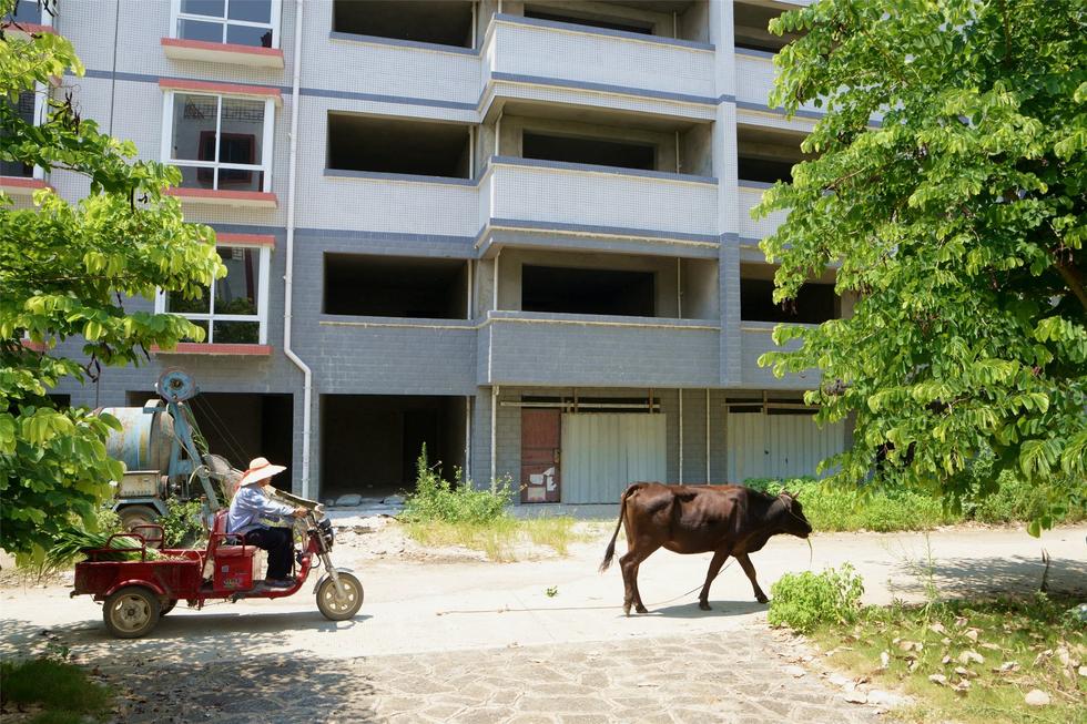 2016年7月26日，村民在廣西來賓市忻城縣隆達山水福城荒廢別墅間放牛。