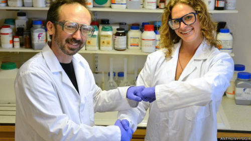 英國科學家呼吁用碰拳取代握手 減少病菌傳播