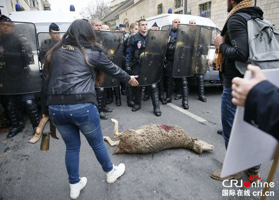 　　當(dāng)?shù)貢r間2014年11月27日，法國巴黎，法國農(nóng)民帶綿羊在埃菲爾鐵塔附近抗議，要求環(huán)保部門采取有效措施解決狼群襲擊羊群問題。　圖片來源：TRICK KOVARIK/CFP