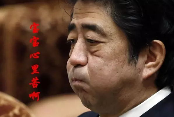 這種看安倍“熱鬧”的事兒，環(huán)環(huán)絕不私藏，一定雨露均沾!