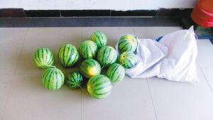 男子開(kāi)價(jià)值30余萬(wàn)汽車(chē)偷西瓜 被捕后稱(chēng)為尋刺激