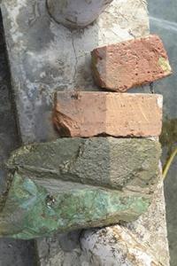 青海動物園內(nèi)動物遭“騷擾” 游客磚頭打河馬