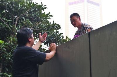 黃主任站在獨木樁上與男子交談了近半小時。