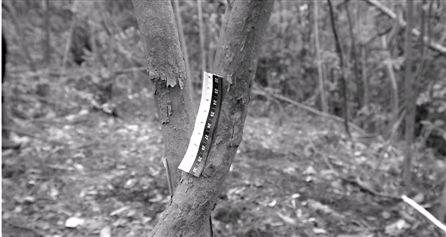 破產(chǎn)老板為騙180萬(wàn)保險(xiǎn)花3萬(wàn)雇兇殺死自己 破產(chǎn)老板為騙180萬(wàn)保險(xiǎn)花3萬(wàn)雇兇殺死自己