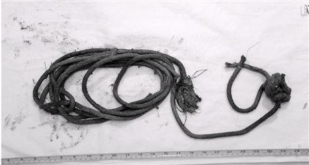 破產(chǎn)老板為騙180萬(wàn)保險(xiǎn)花3萬(wàn)雇兇殺死自己 破產(chǎn)老板為騙180萬(wàn)保險(xiǎn)花3萬(wàn)雇兇殺死自己