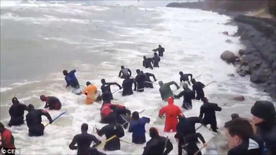 一場(chǎng)暴雨后，俄羅斯加里寧格勒Pionersky鎮(zhèn)，數(shù)十人潛入海水中搜尋琥珀。