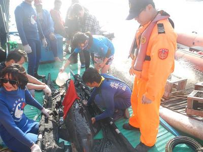 糙齒海豚誤闖漁港傷勢嚴(yán)重幸被救起(圖) 糙齒海豚誤闖漁港傷勢嚴(yán)重幸被救起(圖)