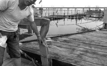 鼻孔里凝著血痂、全身多處擦傷的周先生仍有些驚魂未定。