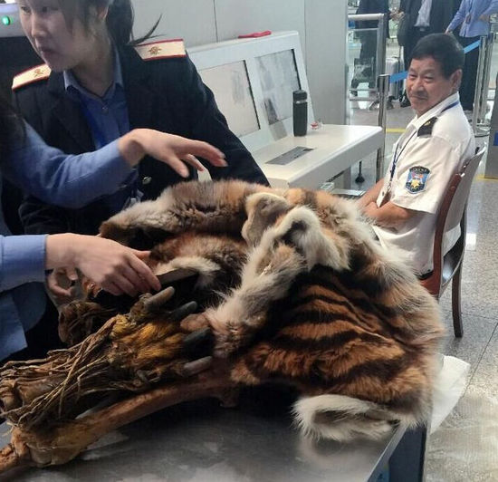 男子帶著虎皮虎骨過(guò)安檢 專家:或是狗皮染色