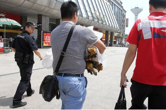 男子帶著虎皮虎骨過(guò)安檢 專家:或是狗皮染色