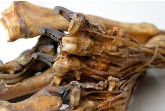 男子帶著虎皮虎骨過(guò)安檢 專家:或是狗皮染色