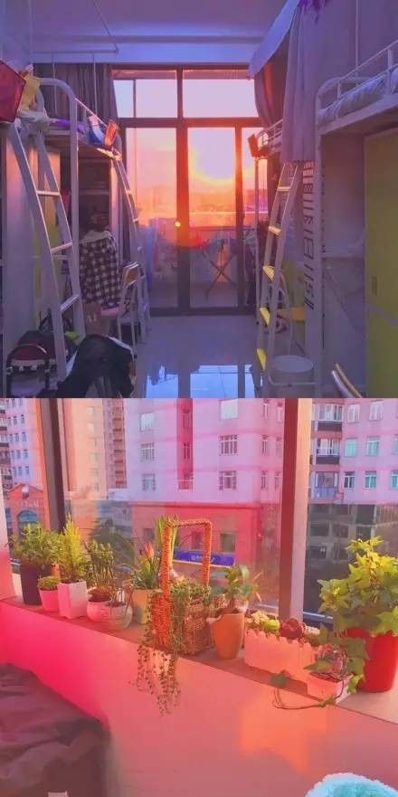 這個(gè)學(xué)校的男生宿舍火了！女同學(xué)都喊著要嫁