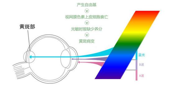 真能亮瞎眼？如何減少手機(jī)對(duì)眼睛的傷害