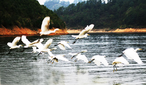 考完去哪兒？千島湖中、高考生門票大優(yōu)惠！