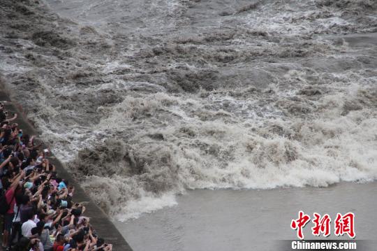 近4年最大八月十八錢(qián)江潮如約而至13.8萬(wàn)游客爭(zhēng)睹