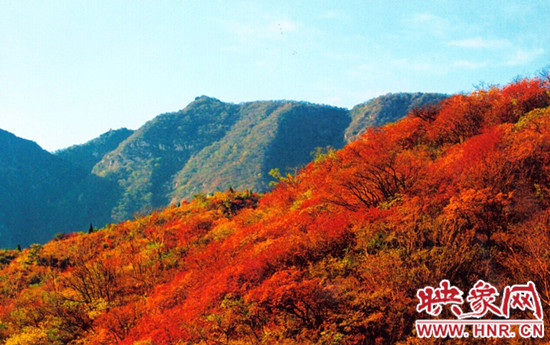 嵩山紅葉:中原第一紅葉 金秋游覽休閑最強(qiáng)攻略 嵩山紅葉:中原第一紅葉 金秋游覽休閑最強(qiáng)攻略