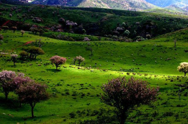 不用花錢的中國(guó)好景色 國(guó)內(nèi)8個(gè)處女風(fēng)景地