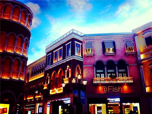 不要溫和地走進(jìn)那個良夜 因為夜太美！