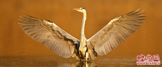 古老而又年輕 地靈,人杰,在晉城得到最好的詮釋 古老而又年輕 地靈,人杰,在晉城得到最好的詮釋