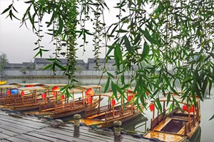 雨后清園 雨后清園