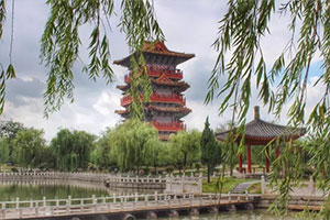雨后清園 雨后清園
