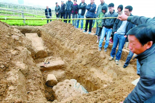 碑帽、赑屃、碑座、碑身依次排開