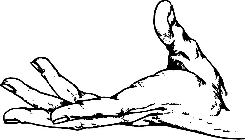 　時間：拿到通知書，未報到就可申請